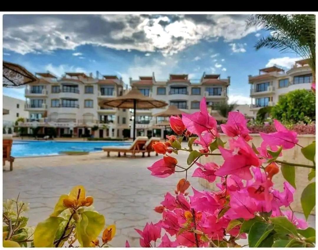 Апартаменти Sharm Hills Екстер'єр фото